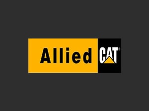 allied-cat